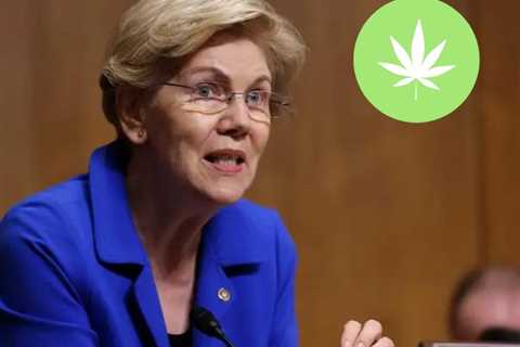Sen. Warren Pushes for Laws to Keep Big Tobacco and Amazon from Dominating Legal Cannabis Industry