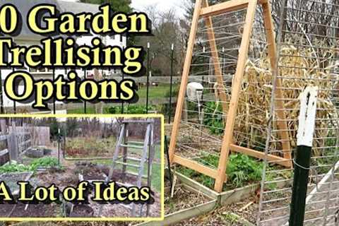 40 Garden Trellising Examples for Growing Vegetables Vertically: All DIY Budget Friendly Options
