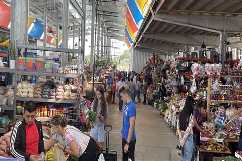 Explore the Best Farmers Markets in Travis County, Texas