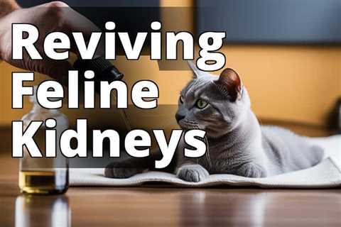 Unleash the Power of CBD Oil for Optimal Kidney Health in Cats