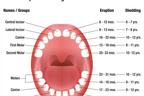 Baby Teeth Chart - Teething Timeline - Baby Teething Ease