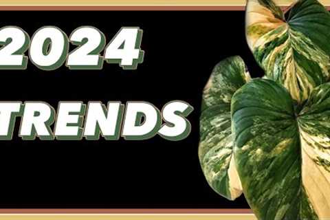 Hottest Plant Trends for 2024 ft @onlyplants