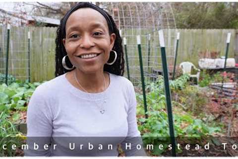 December Full Urban Homestead Tour | All The Animals And Growing Methods Shared
