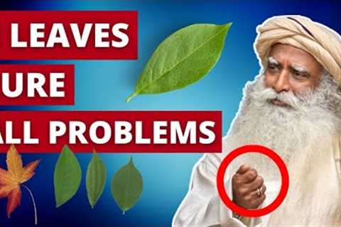JUST 2 Leaves, Avoid 90% of Diseases!! Extremely Common Medicinal Plants🌿 | Eating Leaves |..