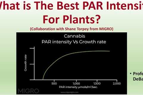 What is the Best PAR Intensity For Plants (Collaboration with Shane Torpey from MIGRO)