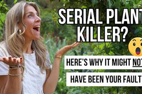 3 Reasons You''ve Killed Plants That You''ve Brought Home from the Store