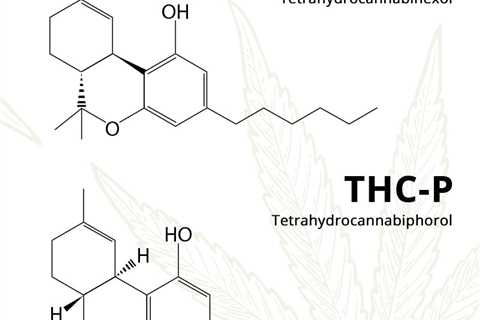 DELTA 8 THC Vs THC-H: Which Is Better For You?