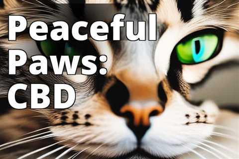 The Ultimate Guide to CBD Oil Benefits for Anxiety in Cats