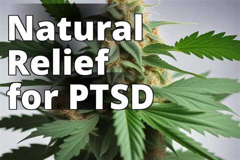 The Revolutionary Breakthrough: Delta 8 THC for PTSD Treatment