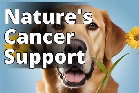 The Ultimate Guide to CBD Oil Benefits for Dogs with Cancer