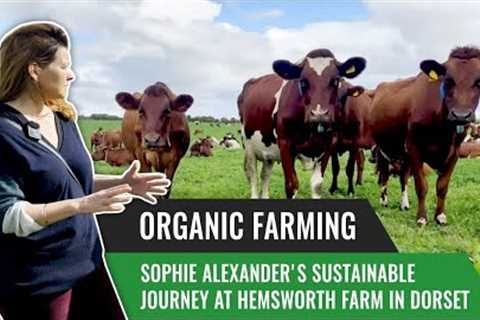 Organic Farming: Sophie Alexander''s Sustainable Journey at Hemsworth Farm in Dorset