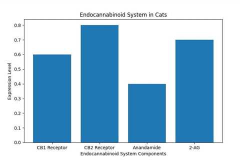 The Ultimate Guide to Using CBD Oil for Cats’ Digestive Health