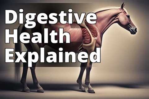 Revolutionize Your Horse’s Digestive Health with CBD Oil: A Definitive Guide