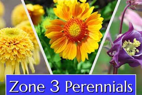 Perennials for Cold Climates Zone 3