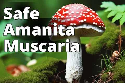 Amanita Muscaria Safety: Everything You Need to Know for a Safe Mushroom Experience