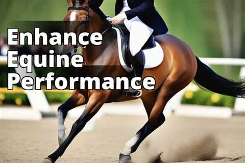 Unleash Your Horse’s Potential: CBD Oil Benefits for Performance and Recovery