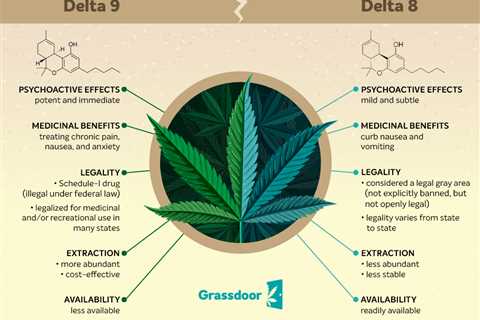 DELTA 9 THC Vs CBD Oil: Get To Know Which Is Right For You?