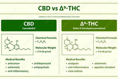 DELTA 9 THC Vs CBD: Which Is Better For You In 2023?