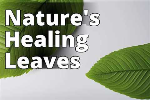 The Ultimate Guide to Medicinal Uses of Kratom Leaves