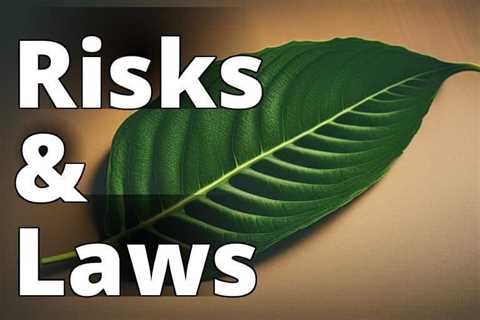 Kratom: Health Risks and Legality Demystified – A Must-Read Guide