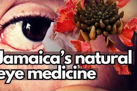 A plant with medicine for your eyes + more / Earth''s Medicine