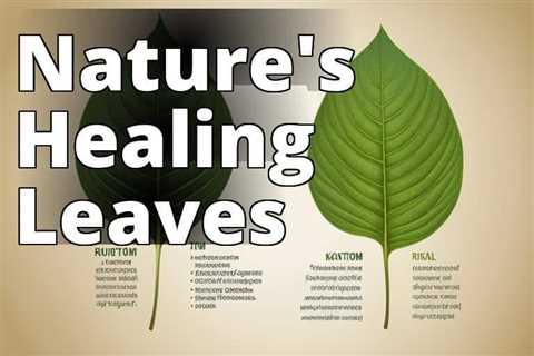 The Healing Secrets of Kratom Leaves: Medicinal Uses Explored
