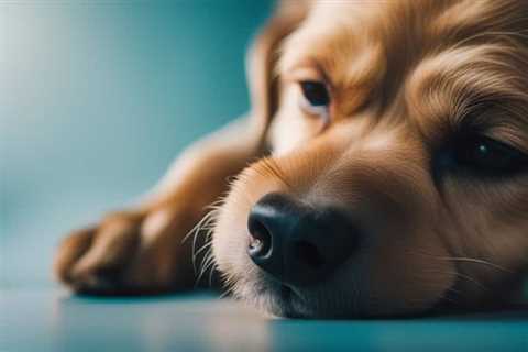 The Secret Weapon Against Skin Allergies in Dogs: CBD Oil Benefits Unveiled