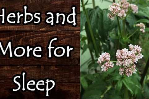 Herbs and More to Help with Sleep