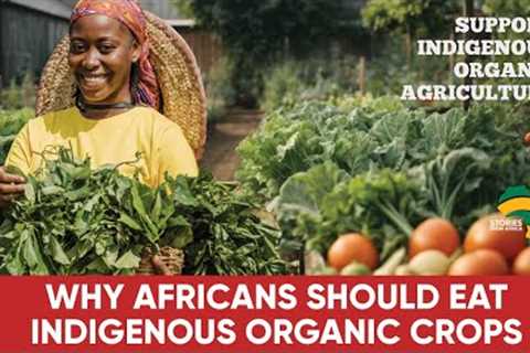 Africa''s Organic Farming: Benefits of Eating Indigenous Organic Crops