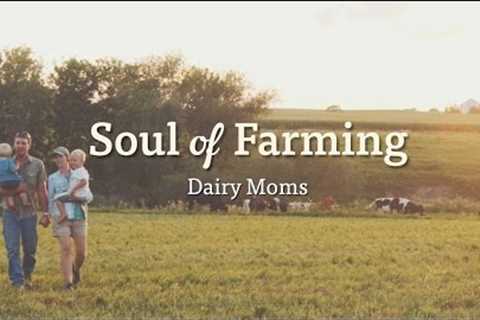 Dairy Moms | Carrie O''Reilly | Organic Valley Farmers