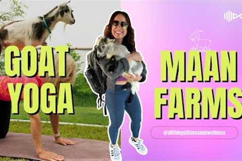 The GOAT Yoga at Maan Farms 🐐 | Fall Fitness Experience