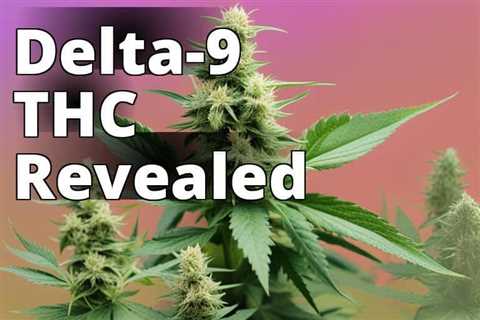 Delta 9 THC: Legal or Not? The Latest Updates and Future Implications