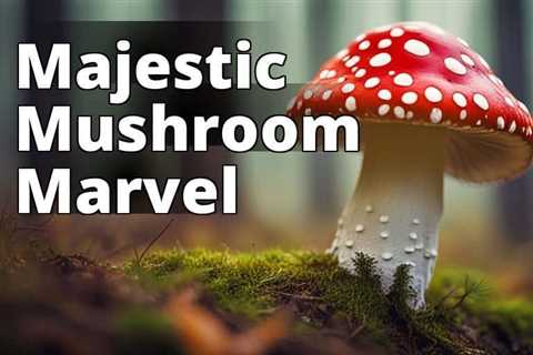 The Ultimate Guide to Amanita Muscaria Identification: Mythology, Toxicity, and More