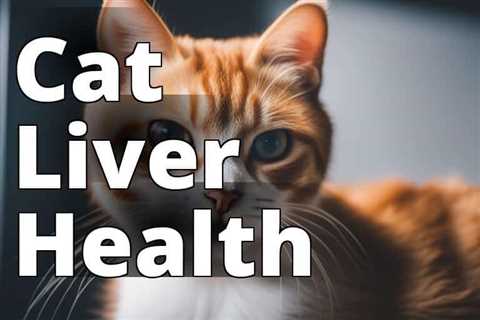 The Amazing Benefits of CBD Oil for Cat Liver Health Revealed