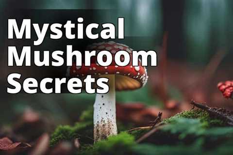 Unveiling the Secrets: Traditional and Modern Amanita Muscaria Uses