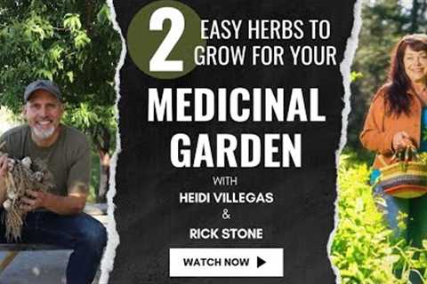 2 Easy Herbs to Grow for your Medicinal Garden with Heidi Villegas