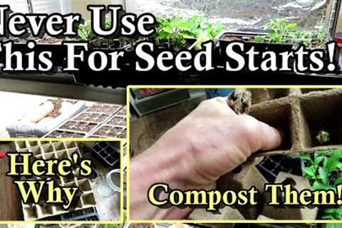 Peat Pots are Problematic for Starting Seeds - Don''t Use Them: Here are the Issues!