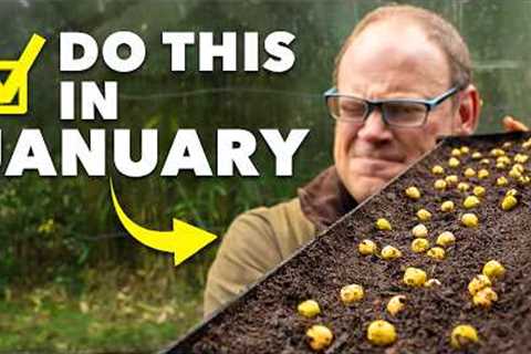 Garden Checklist: 10 Tasks to Give Your Garden a Head Start in January