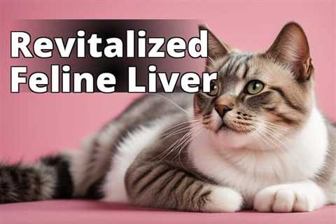 Discover the Benefits of CBD Oil for Cat Liver Health