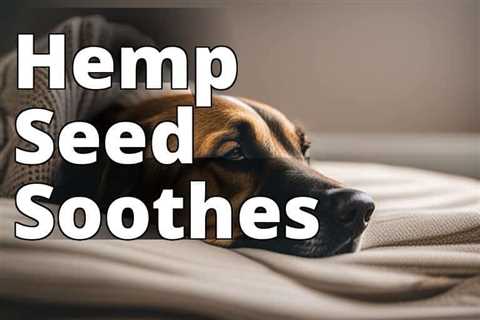 Hemp Seed: The Natural Solution for Calming Dogs