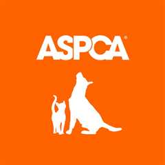Sprouts and Whole Foods Market Earn Top Grades From ASPCA