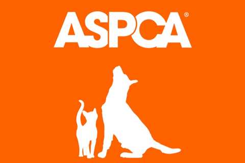 Sprouts and Whole Foods Market Earn Top Grades From ASPCA