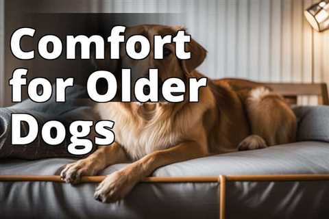 Calm Anxiety in Older Dogs with These Effective Techniques and Treatments