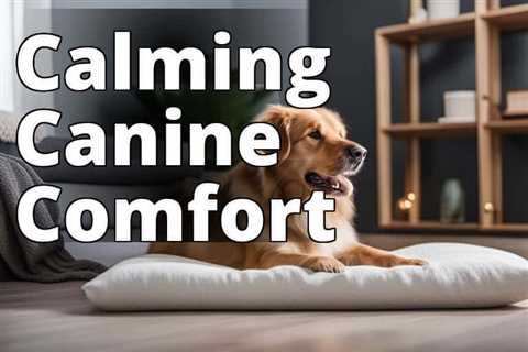 Relieve Dog Anxiety Naturally: Gentle Solutions for Your Pet