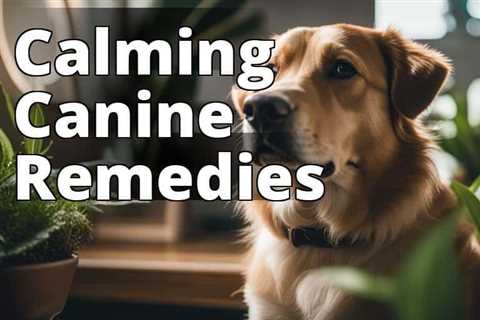 Discover Natural Home Remedies to Calm Your Dog’s Anxiety