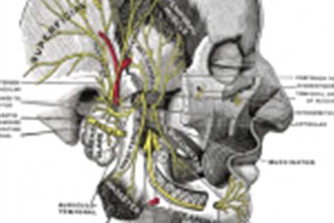 Inferior alveolar nerve