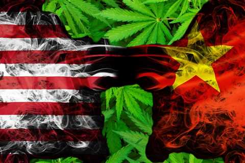 Does the Chinese Government Secretly Run All the Illegal Marijuana Grows in America? - Reefer..