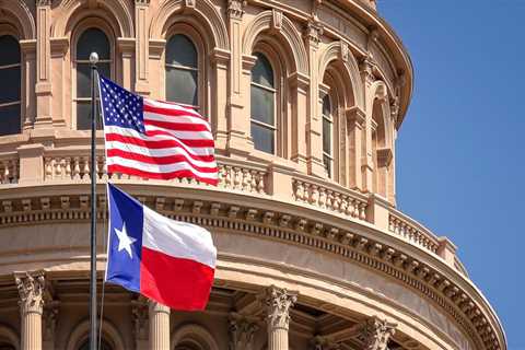 Does texas have a state health plan?