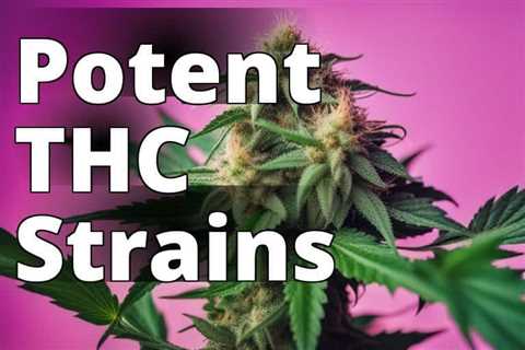 The Ultimate Handbook to Delta 9 THC Strains: Everything You Need to Know