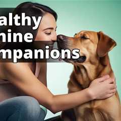 The Ultimate Guide to CBD Benefits for Dogs: Enhance Their Health